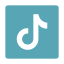 tiktok-icon